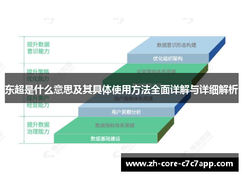 东超是什么意思及其具体使用方法全面详解与详细解析