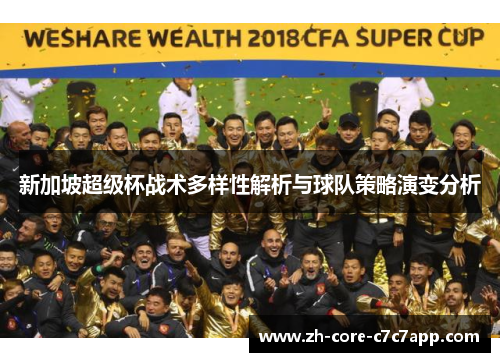 新加坡超级杯战术多样性解析与球队策略演变分析