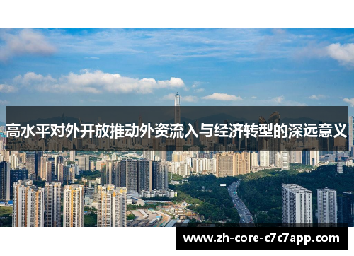 高水平对外开放推动外资流入与经济转型的深远意义 高水平对外开放推动外资流入与经济转型的深远意义
